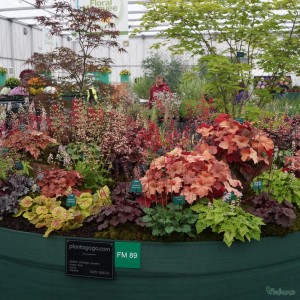 BBC Gardeners World Live show Plantagogo display 2014