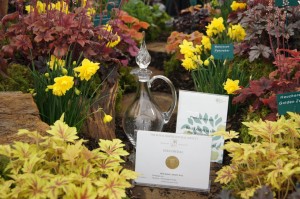 Plantagogo Best in Floral marquee 2012