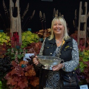 Harrogate Autumn Flower Show Plantagogo won a silver rose bowl for our fabulous Heuchera, Heucherella & Tiarella
