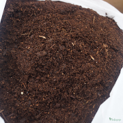 close up of plantagogog special mixed compost 50% peat free with slow release fertilizer at the correct ratio.