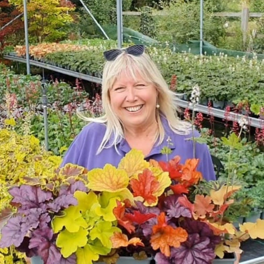 Autumn/Winter Workshop for Hanging Baskets & Containers with Vicky Fox on 5th October 2022 10am to 12.30pm