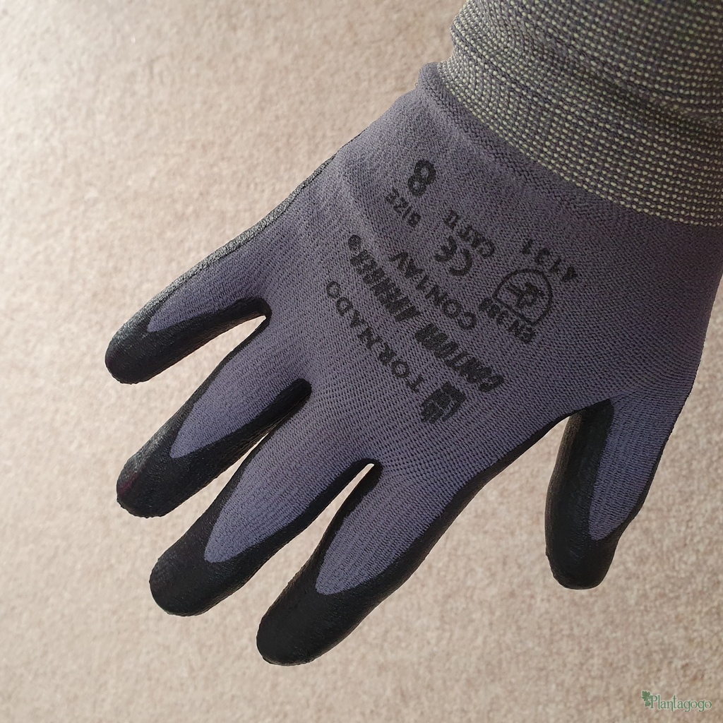 Gloves size 8/M